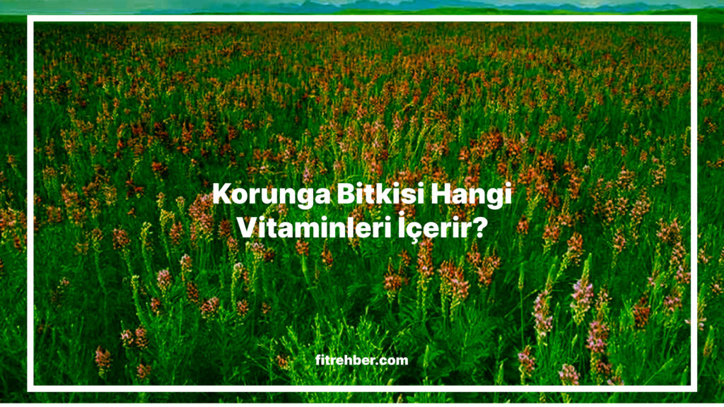 Korunga Bitkisi Hangi Vitaminleri İçerir?